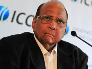 Pawar all set to return as MCA chief Pawar all set to return as MCA chief