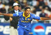 Sri Lanka's man-of-the-match Chaminda Vaas celebrates the fall of Ridley Jacobs' wicket
